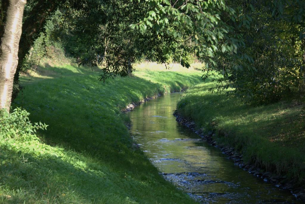 Land-Hotel Zum Schwan, Garni Weilerswist-Metternich, 3 E-Ladestationen, Naehe Phantasialand, Palmenparadies Euskirchen Eksteriør bilde