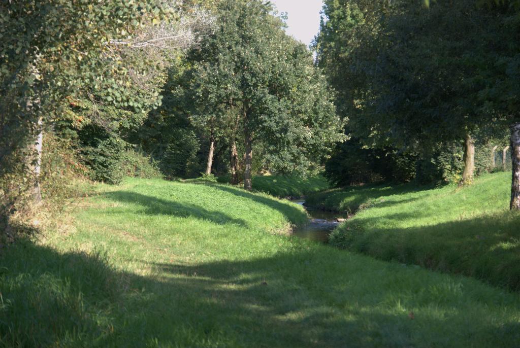 Land-Hotel Zum Schwan, Garni Weilerswist-Metternich, 3 E-Ladestationen, Naehe Phantasialand, Palmenparadies Euskirchen Eksteriør bilde